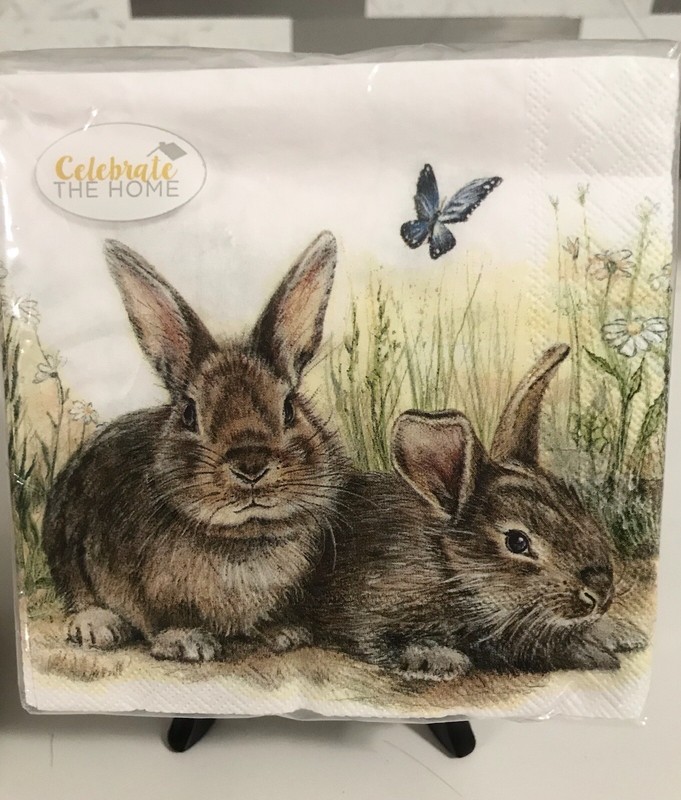 Peter Rabbit Easter 24 Cupcake Liners +24 Toppers + Napkins Beatrix Potter Bunny gallery