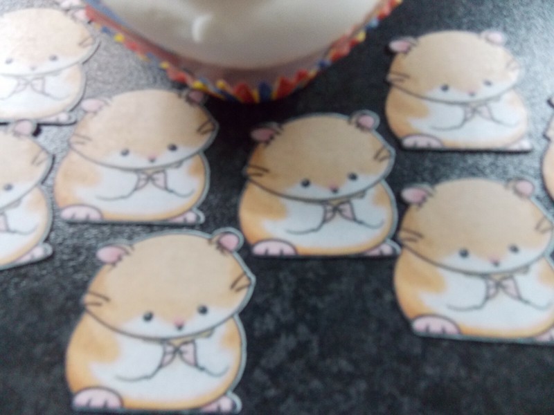 12 PRECUT edible Hamsters wafer/rice paper cake/cupcake toppers gallery