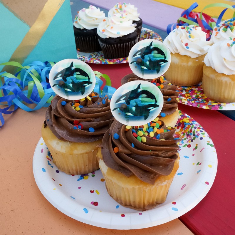 Orcas Killer Whales Watercolor Yin Yang Cupcake Picks Toppers Set of 6 gallery