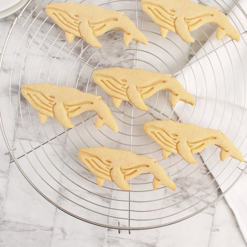 Humpback Whale Cookie Cutter nautical marine wildlife ocean conservation animal gallery