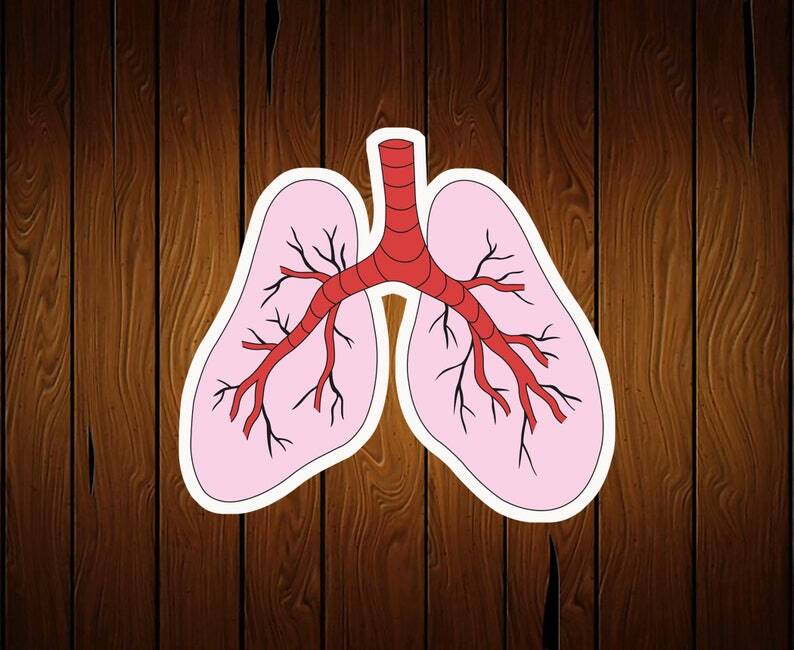 Lung Cookie Cutter – 3D Printed Food Safe PLA Plastic