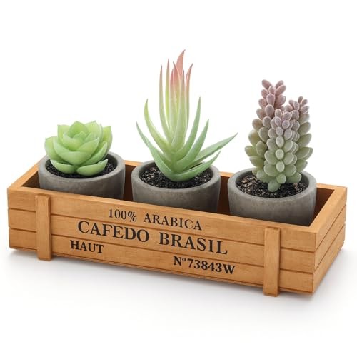3PCS Small Fake Plants, Artificial Succulents Plants with Wooden Box for Home
