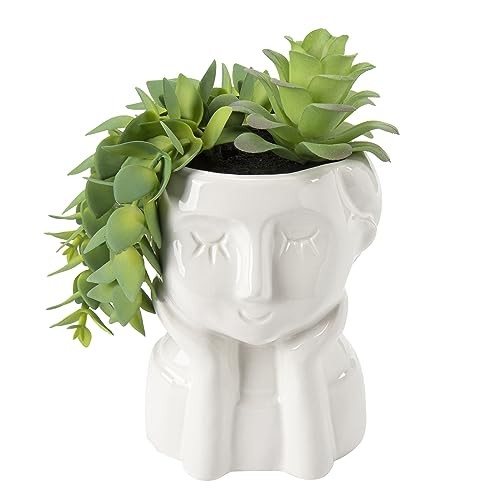 Fake Succulents Plants Artificial Succulents in Ceramic Pots Fake Potted Green