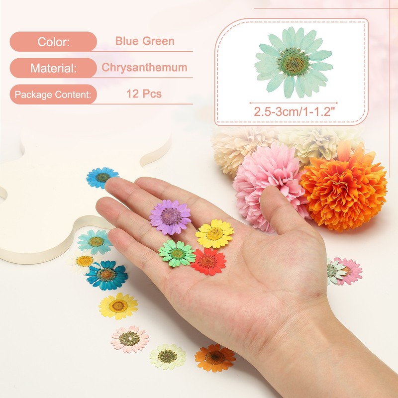 12Pcs Dried Pressed Flowers, Chrysanthemum Flowers for Nail Art, Blue Green gallery