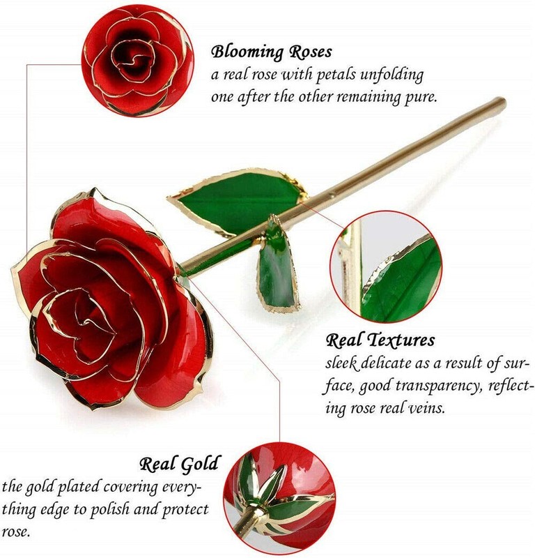 ENJOYPRO Valentines Day Gifts for Her, Real Rose Dipped Golden,Gold,Red,Rose gallery
