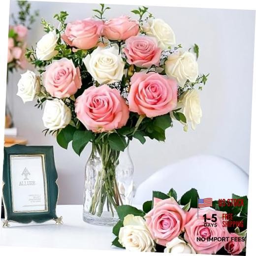 20PCS Artificial Roses with Long Stems – Realistic Silk 20 PCS White&pink