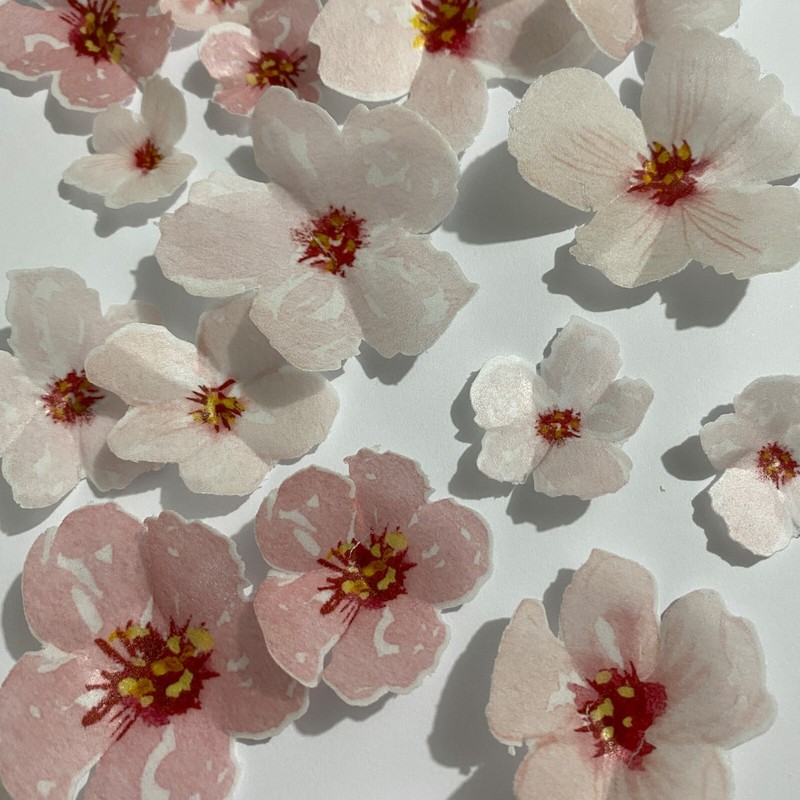 Pre-cut Edible Wafer Paper Cherry Blossom Flowers