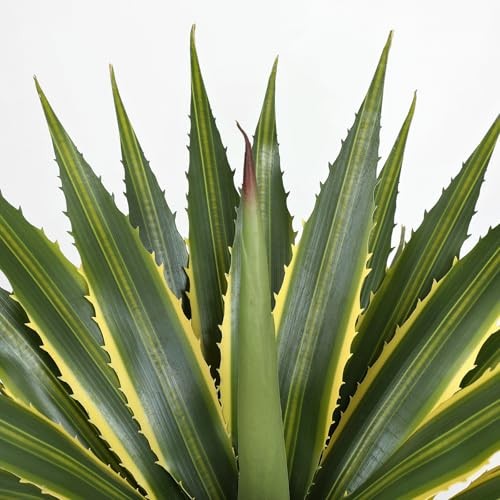 21 Inch Artificial Agave Plants Large Size Fake Agave Plant Stems 50CM gallery