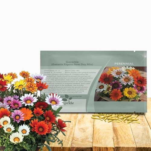 New Day Mixed Gazania Seeds for Planting – 50 Pcs Perennial, Low 50 Seeds