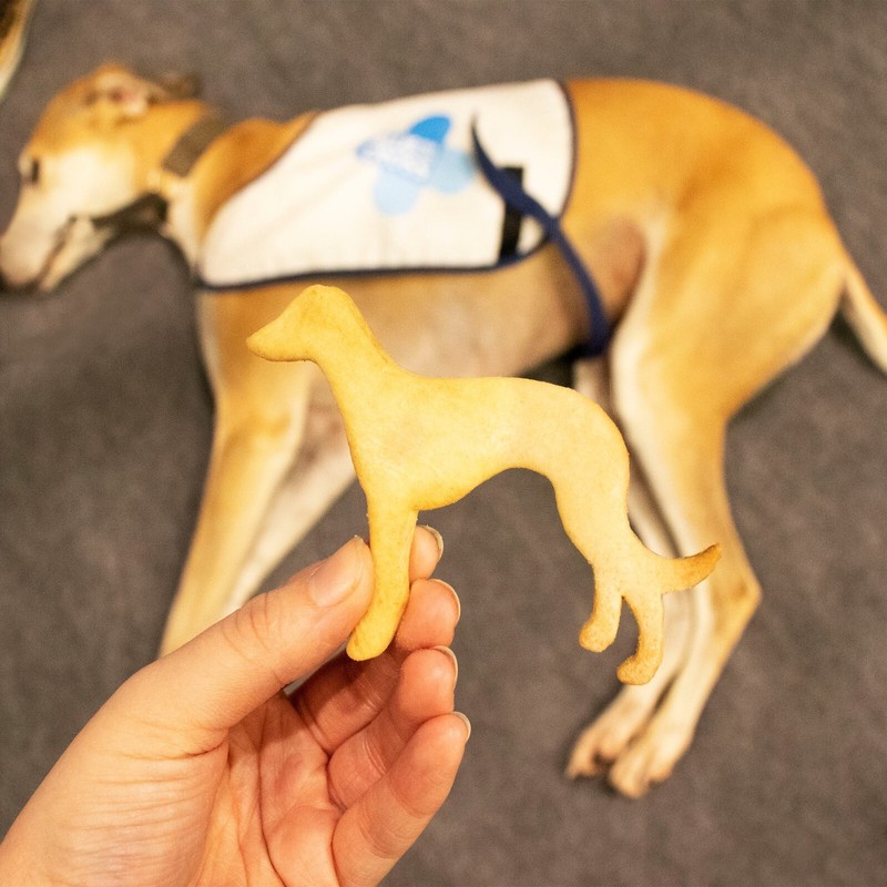 Greyhound Cookie Cutters Set - dog face portrait treats birthday adoption rescue gallery