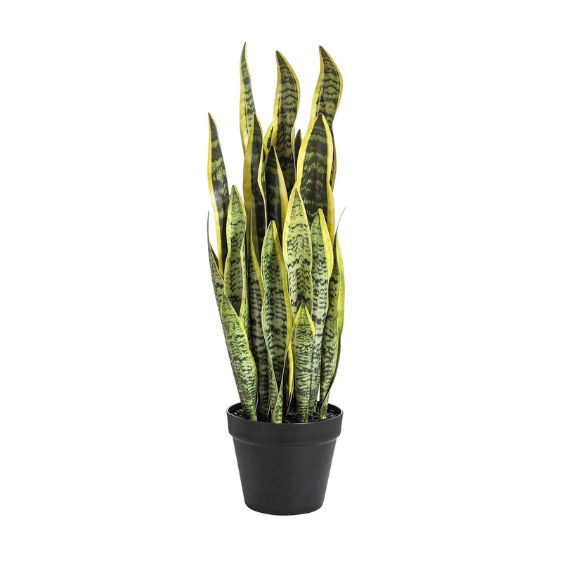 Ql Design Artificial Snake Plant 26 Inches Fake Sansevieria Artificial Potted
