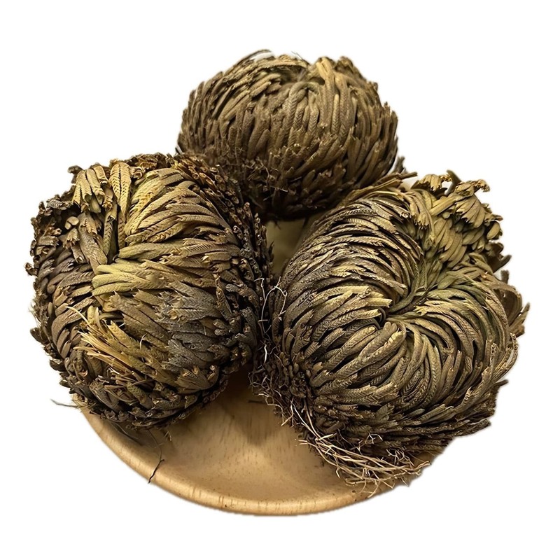 5 Pack Big 3.5" Rose of Jericho Resurrection Plants, Flor de Jerico Yellow gallery