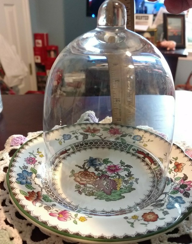 Spode"Desert Rose" Cupcake/Dessert 6 Inch Plate with Clear Dome w Knob MINT