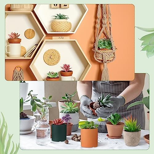 100 Pieces Succulents Plants Artificial Fake Succulents Bulk Cute Style gallery