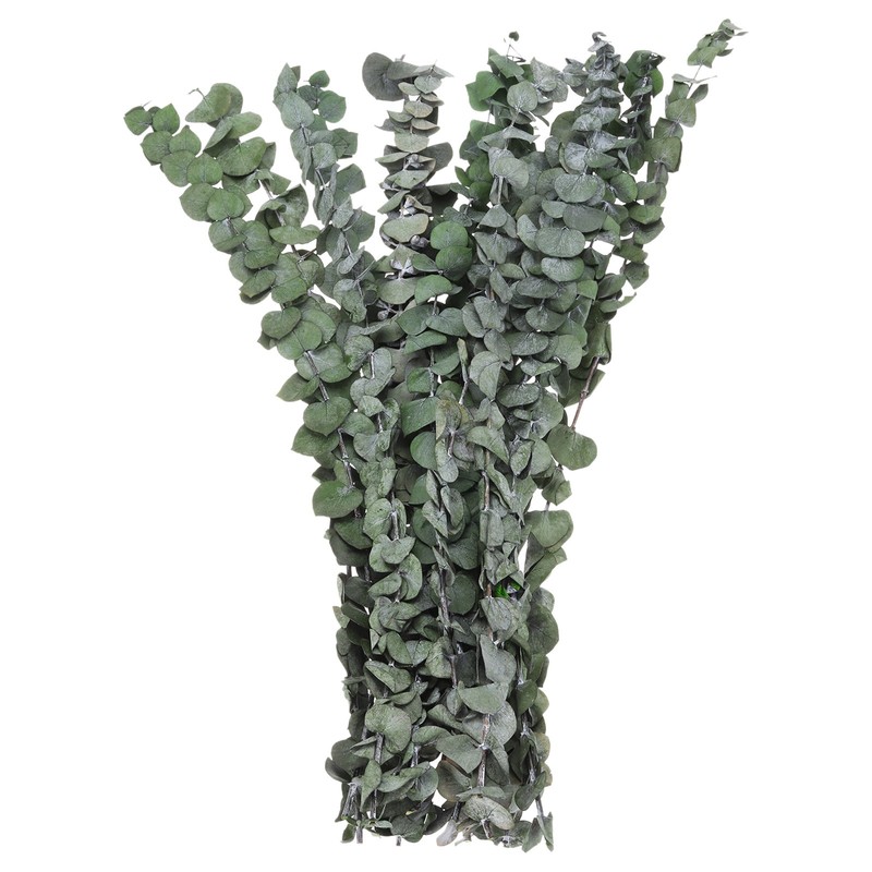 16PCS Dried Eucalyptus Stems, 17″ Eucalyptus Plant for Shower Hanging, Green