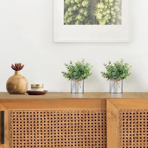 2 Packs Small Fake Plants in Farmhouse Galvanized Pots Table Centerpiece Mini gallery