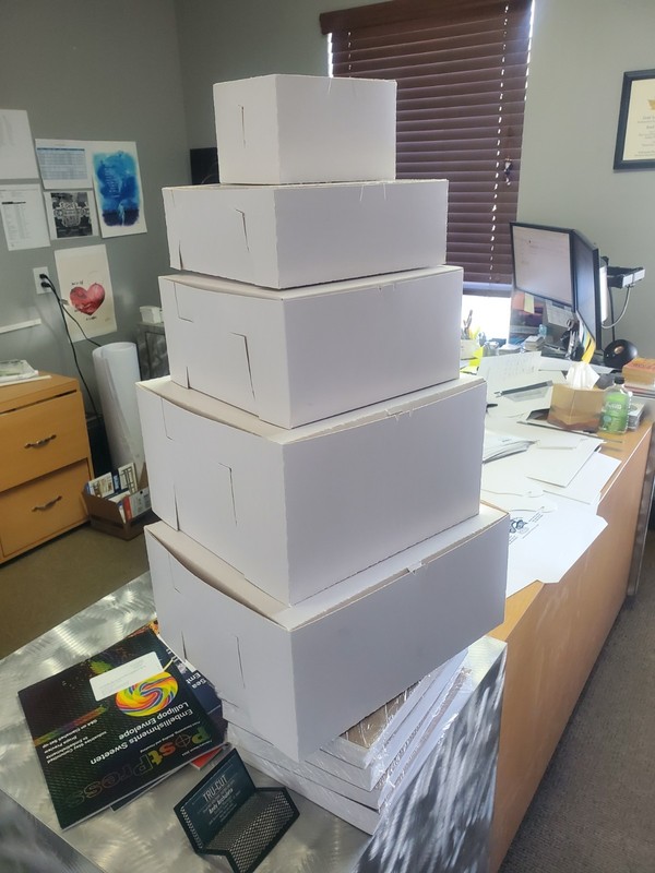 100 blank White Cardboard Cake Box 10x10x5 gallery