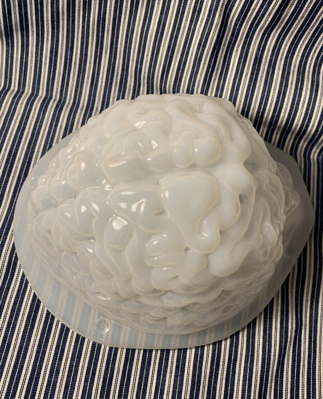 Plastic GELATIN BRAIN Shaped 3D MOLD Jello candy clay Halloween Zombie gallery