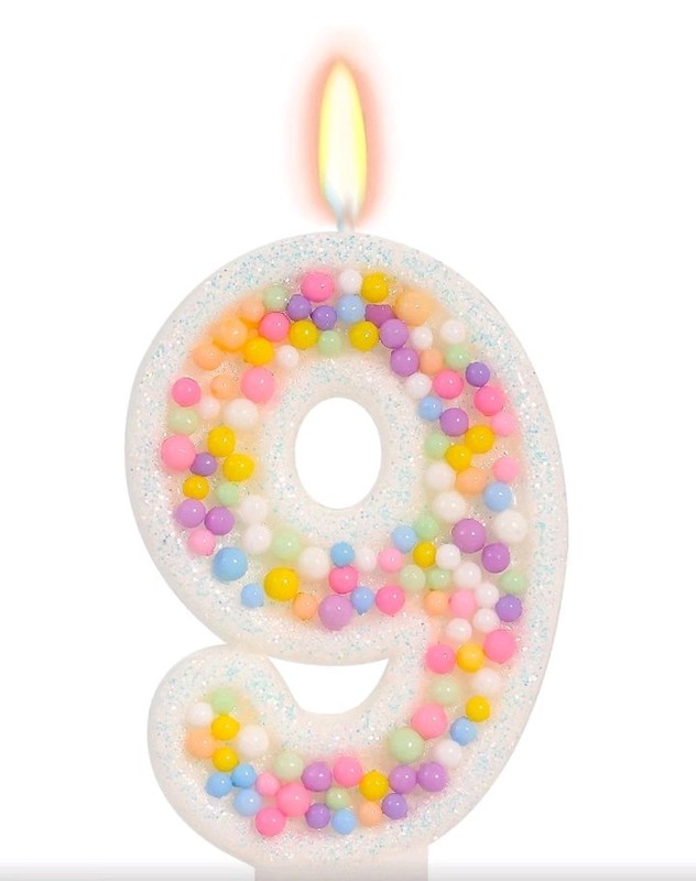 Number 9 Birthday Cake Candle, White w/ Multicolor Sprinkles, Wax, 3 in, 1pk