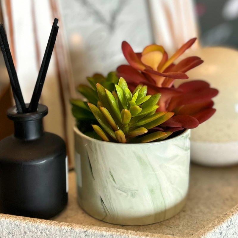 Karlliu Artificial Plants Cute Colourful Succulents in 4x4 inch, Colorful gallery