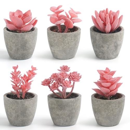 6PCS Succulents Plants Artificial, Small Fake Plants in Pots for Pink