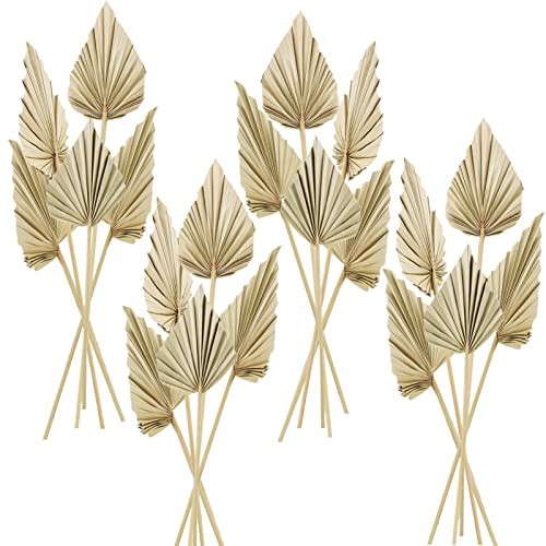 Cenkaiyang 20 Pcs Boho Dried Palm Spears Leaves, Real Palm Fans with 1 Natural