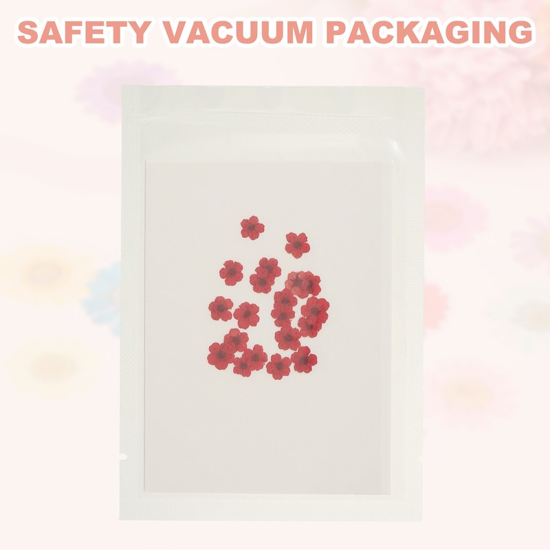 40Pcs Dried Pressed Flowers, Daffodil Flowers for Nail Art, Purple Red gallery