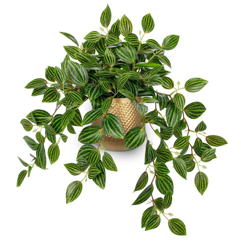 Briful 17.7″ Faux Watermelon Peperomia Plant in Gold Pot, Realistic Silk Leaves