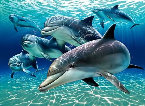 Pod of Dolphins Painting ~ Edible Image Cake Topper 1/2 sheet 10″ by 16″