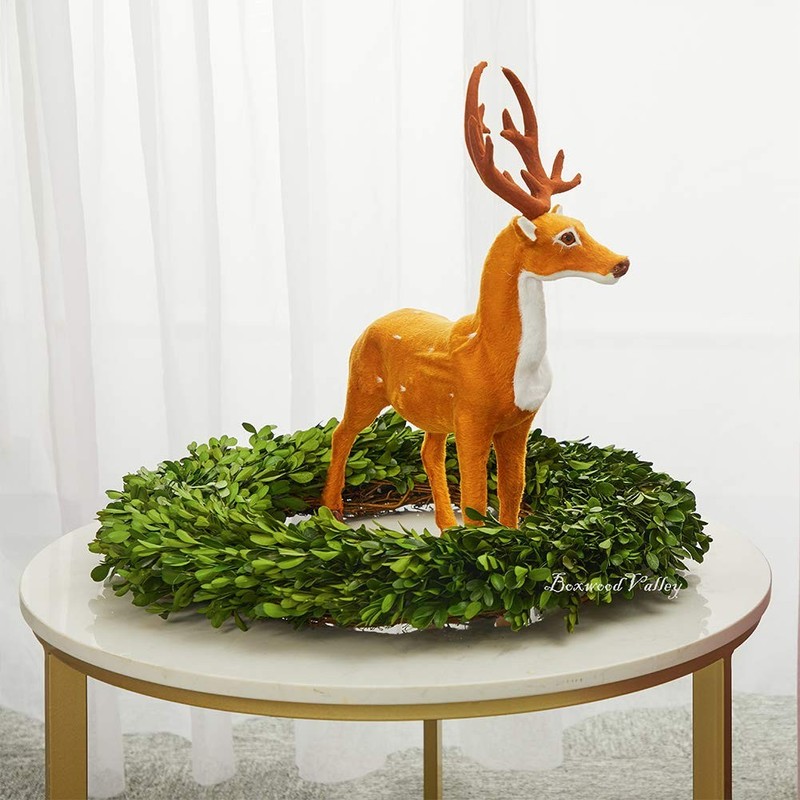 Boxwood Valley Boxwood Wreath 20 Inch X-Large Preserved Natural Boxwood gallery