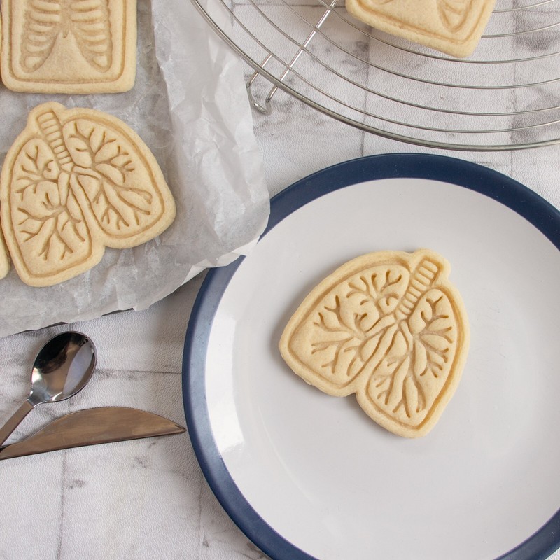 Anatomical Human Lungs cookie cutter - lung cancer pulmonary anatomy respiratory gallery