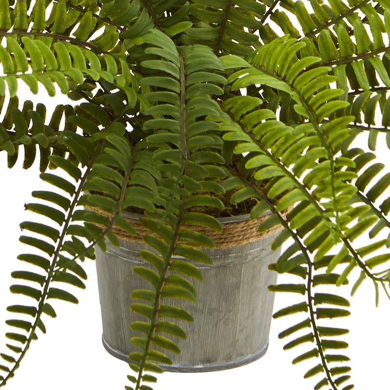 Nearly Natural 14In. Assorted Ferns Planter Artificial Plant Set Of 3 gallery
