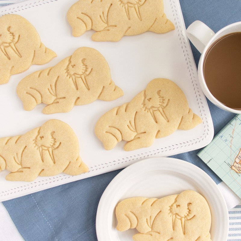 Walrus Cookie Cutter - arctic animal marine Antarctic ocean wildlife north pole gallery