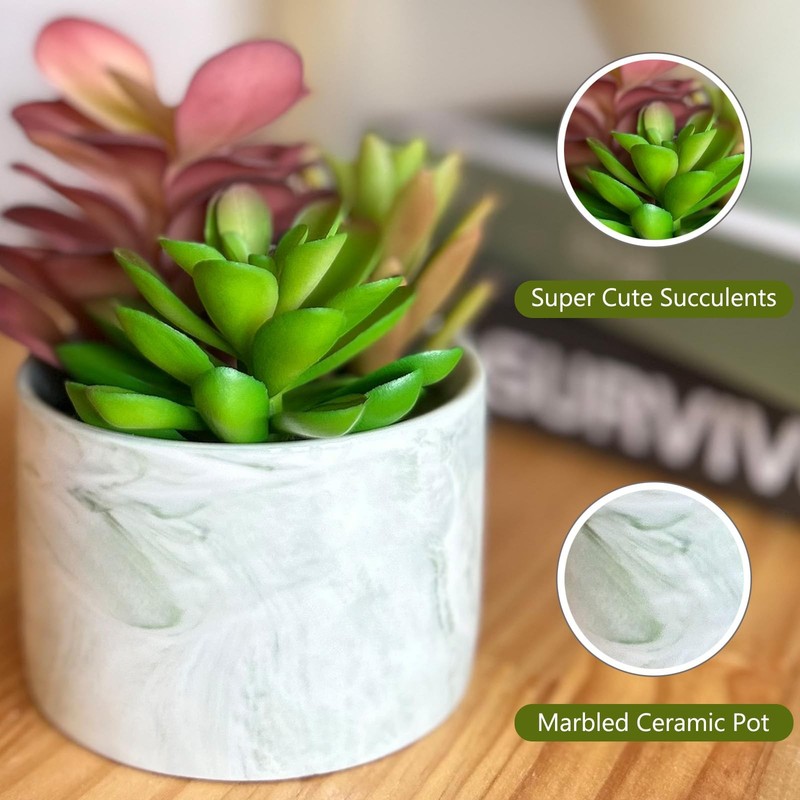 Karlliu Artificial Plants Cute Colourful Succulents in 4x4 inch, Colorful gallery