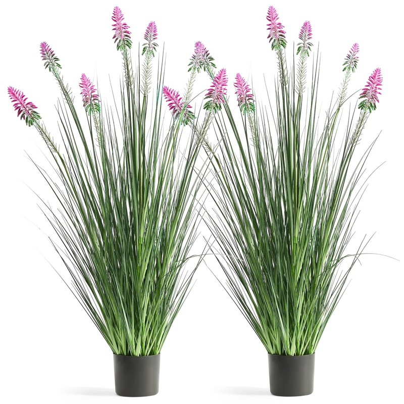 Florafairy 4Ft 2-Pack Horsetail Reed Grass Purple Cockscomb Flower 48In Tall