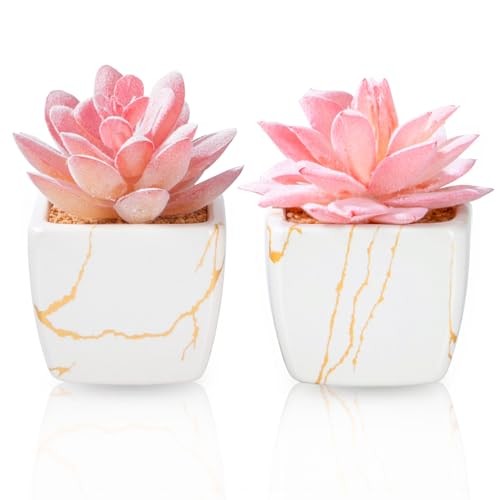 Artificial Succulent inPCS Ceramic Pot, Small Fake Succulents Plants 2 White