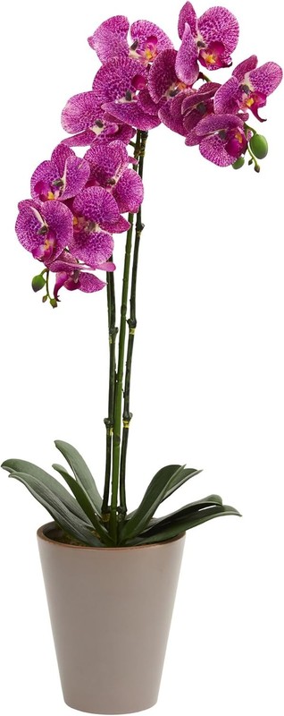 24in. Speled Phalaenopsis Orchid Artificial Arranment