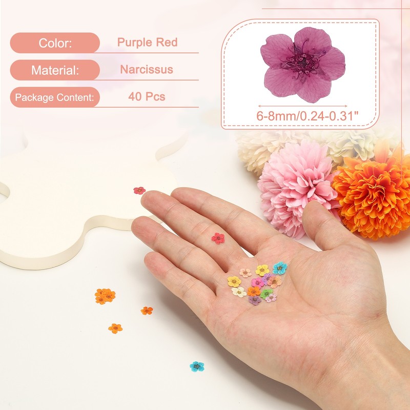 40Pcs Dried Pressed Flowers, Daffodil Flowers for Nail Art, Purple Red gallery