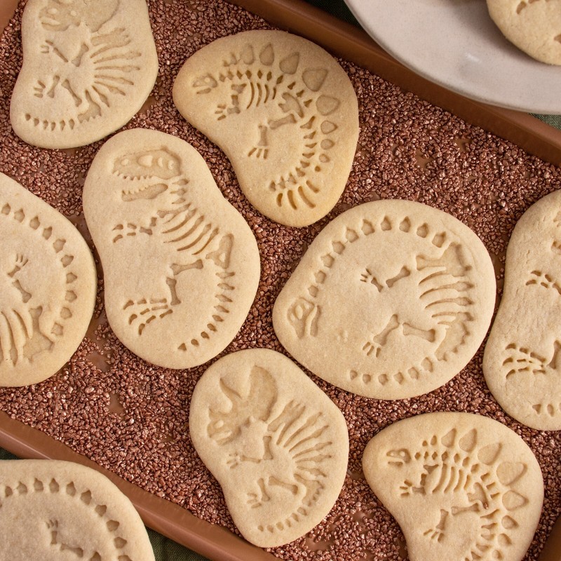 Set of 4 Dinosaur Fossil Cookie Cutters -Stegosaurus Triceratops Long Neck T-rex gallery