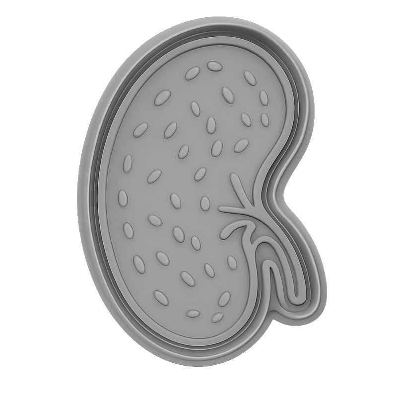 Textured Spleen Cookie Cutter & Stamp - 4x3" Fun Kitchen Creative Tool gallery