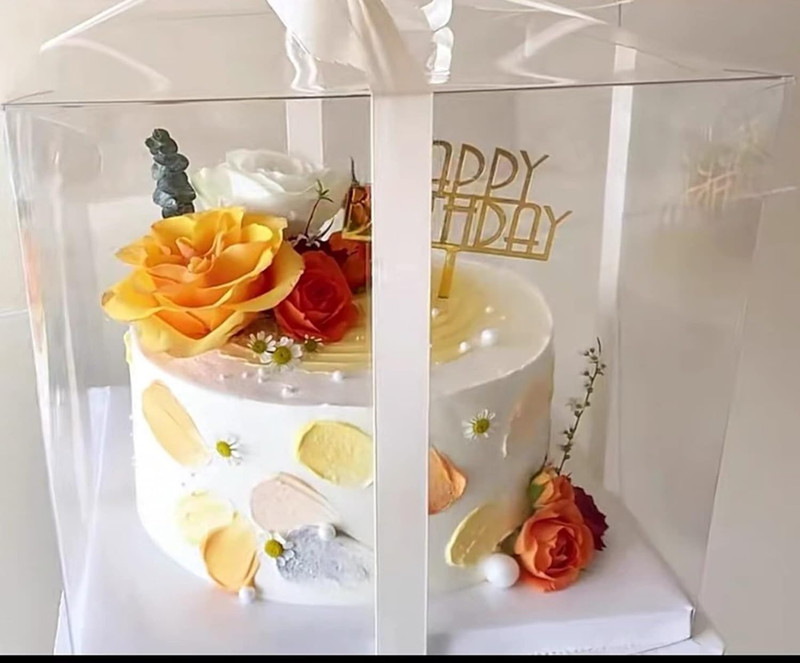 6Pcs Tall Cake Boxes Clear Cake Box with Ribbon, 12X12X 10Inch,Ideal for Large 1 gallery