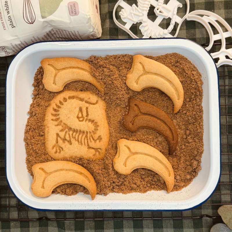Velociraptor Cookie Cutters Set - Dinosaur fossil birthday prehistoric jurassic gallery