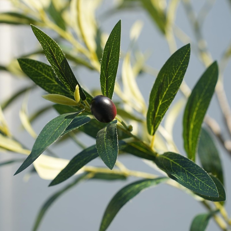 Lomanto Artificial Olive Trees 6 Ft Tall Fake Olive Trees For Indoor Faux Olive gallery