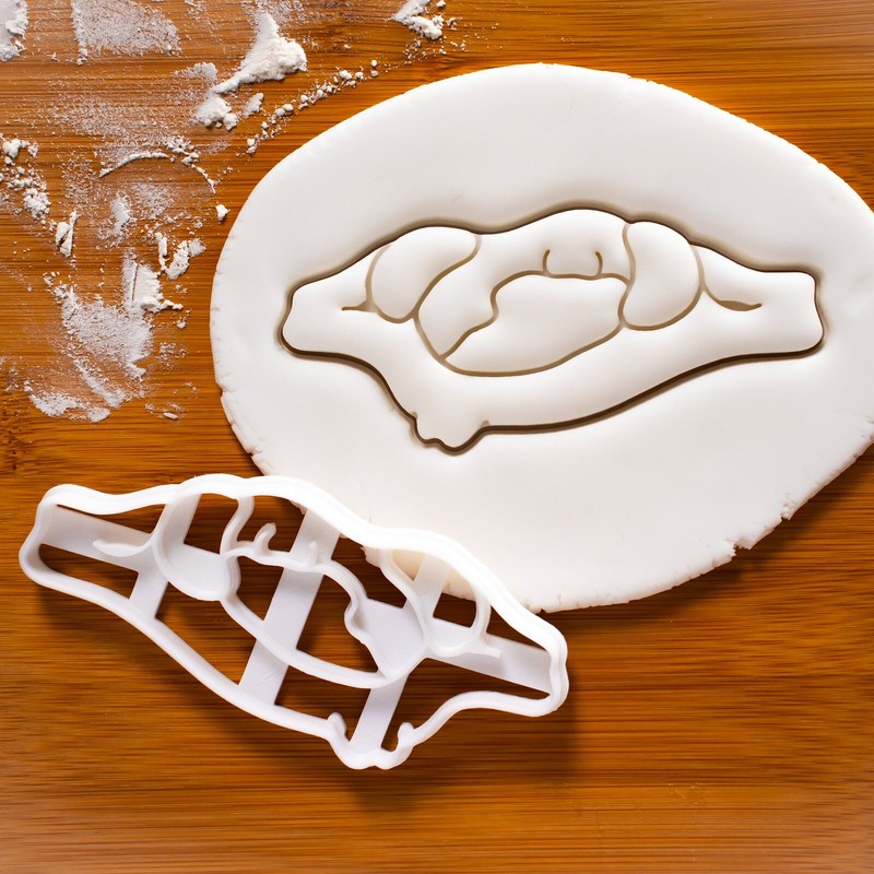 Atlas Vertebra Cookie Cutter – cervical spine anatomy medical biology science