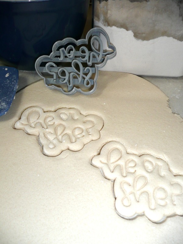 BEAUTY OR BEAST GENDER REVEAL HE OR SHE BOY GIRL ROSE COOKIE CUTTER USA PR1342 gallery