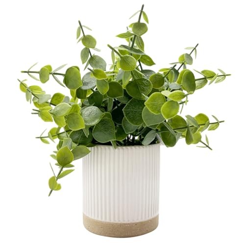 Small Fake Eucalyptus for Decorative Trays,9.5″ Eucalyptus-ceramic Pot