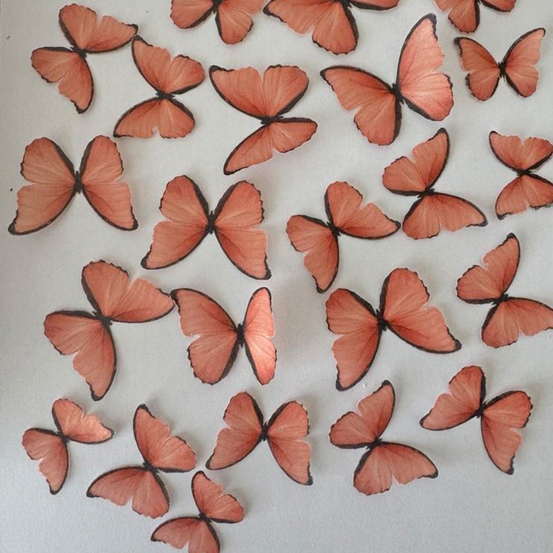 Bright Orange Pre-cut Edible Wafer Paper Butterflies