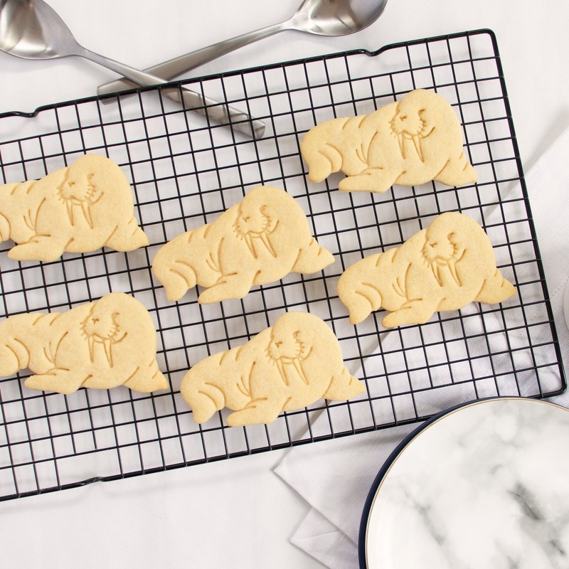 Walrus Cookie Cutter - arctic animal marine Antarctic ocean wildlife north pole gallery