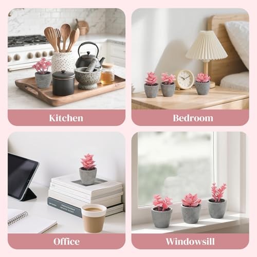 6PCS Succulents Plants Artificial, Small Fake Plants in Pots for Pink gallery