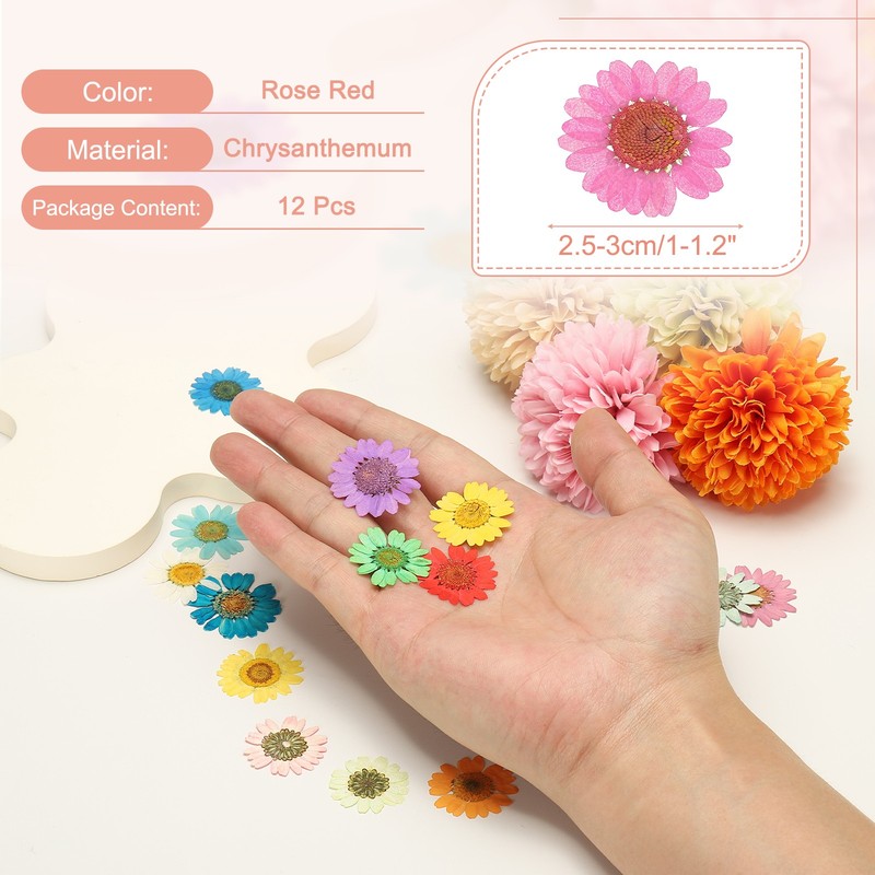 12Pcs Dried Pressed Flowers, Chrysanthemum Flowers for Nail Art, Rose Red gallery